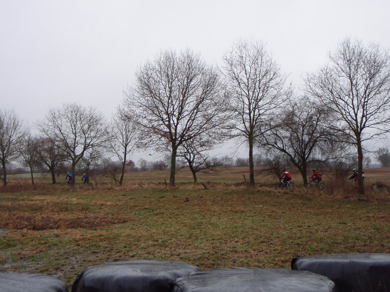 Waldtour 030